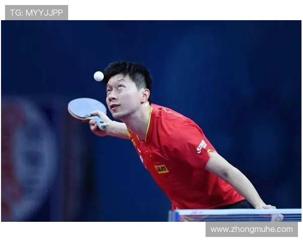 南京网球队灵活性对比分析揭示战术优势与发展潜力